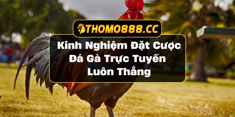 đá gà trực tuyến