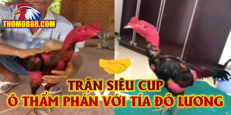 Trận Siêu Cup Ô Thẩm Phán với Tía Đô Lương