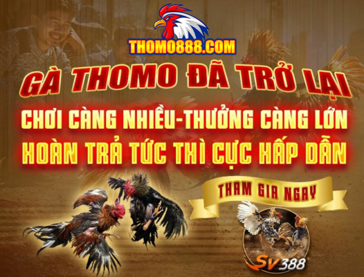 da ga thomo888 chinh thuc mo cuoc tro lai