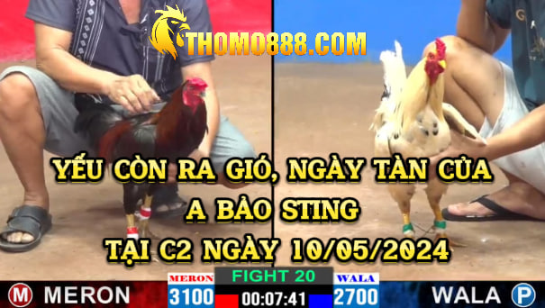 A Bảo Sting tại C2 Ngày 10/05/2024