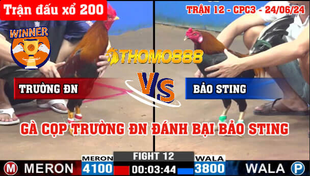 Trận 12 CPC3 Ngày 24/06/2024