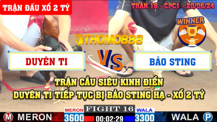 Trận 16 CPC1 Ngày 20/06/2024