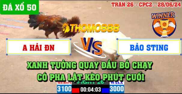 Trận 26 CPC2 Ngày 28/06/2024