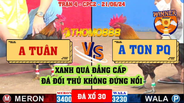 Trận 4 CPC2 Ngày 21/06/2024