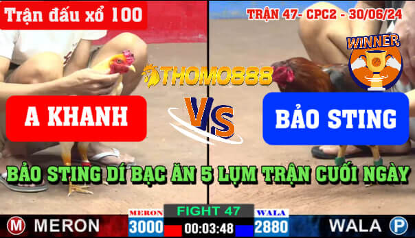 Trận 47 CPC2 Ngày 30/06/2024