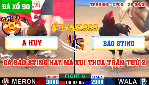 Trận 6 CPC2 Ngày 26/06/2024