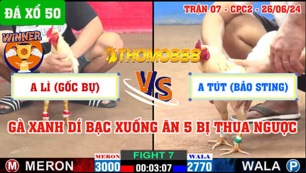 Trận 7 CPC2 Ngày 26/06/2024