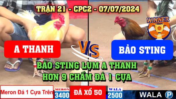 Trận 21 CPC2 Ngày 07/0/2024