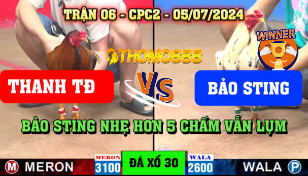 Trận 6 CPC2 Ngày 05/07/2024