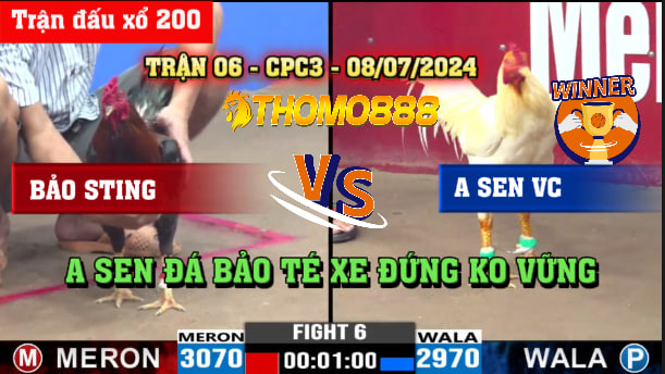 Trận 6 CPC3 Ngày 08/07/2024