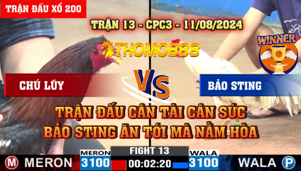 Trận 13 CPC3 Ngày 11/08/2024