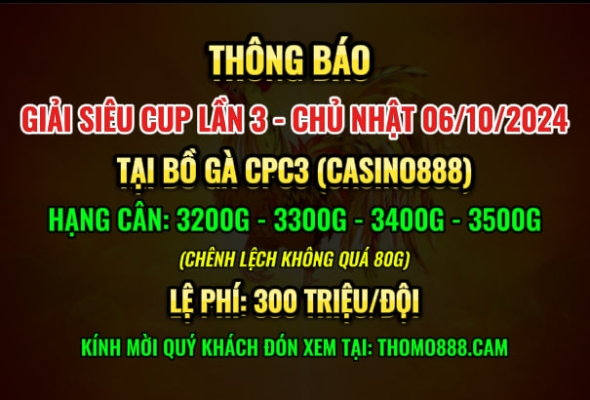 Giải siêu cup lần 3