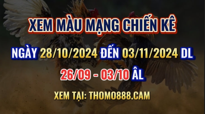 Màu Mạng Chiến Kê Ngày 28/10 Đến 03/11/2024