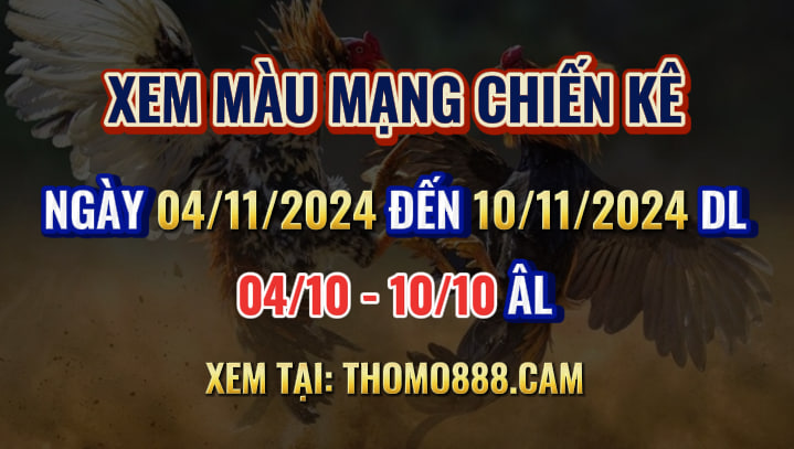 Màu Mạng Chiến Kê Ngày 04/11 Đến 10/11/2024