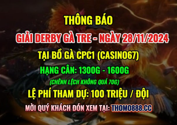 Giải Derby Gà Tre CPC1 Ngày 28/11/2024