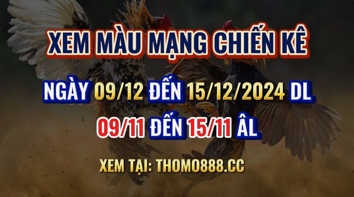 Màu Mạng Chiến Kê Ngày 09/12 Đến 15/12