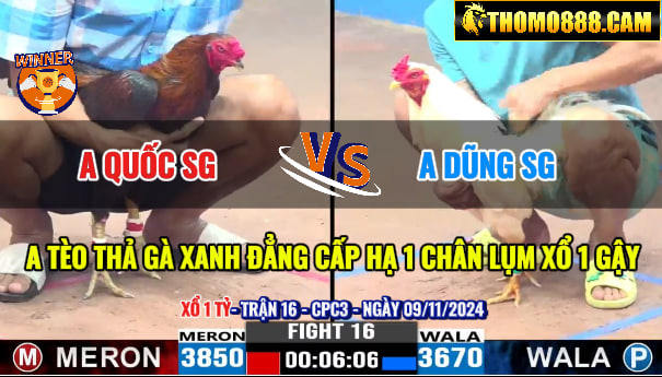 Trận 16 CPC3 Ngày 09/11/2024