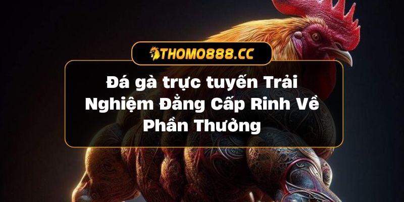 Đá Gà Trực Tuyến