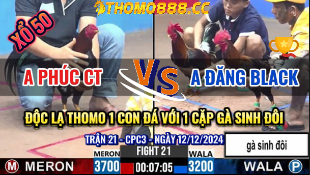 Trận 21 CPC3 Ngày 12/12/2024