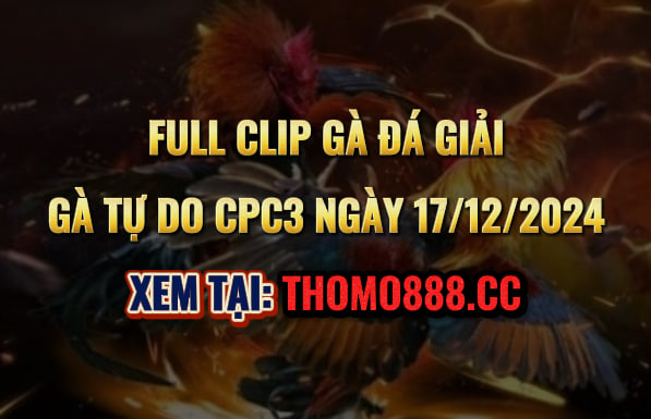 Gà Đá Giải CPC3 Ngày 17/12/2024