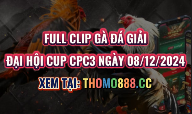 Gà Đá Giải CPC3 Ngày 08/12/2024