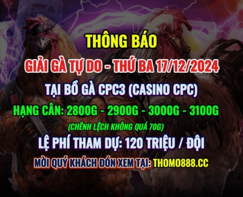 Giải Gà Tự Do CPC3 17/12/2024