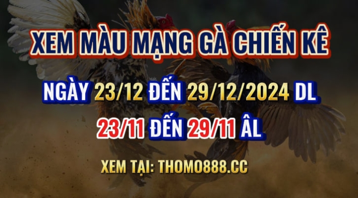 Màu Mạng Chiến Kê Ngày 23/12 Đến 29/12/2024