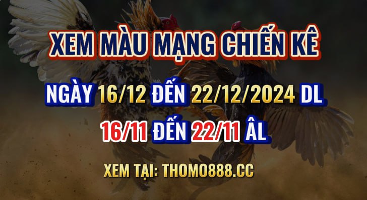 Màu Mạng Chiến Kê Ngày 16/12 Đến 22/12/2024