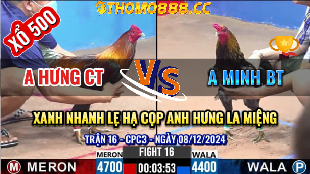 Trận 16 CPC3 Ngày 08/12/2024