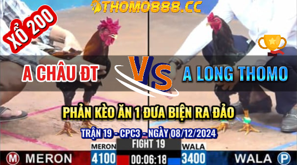 Trận 19 CPC3 Ngày 08/12/2024