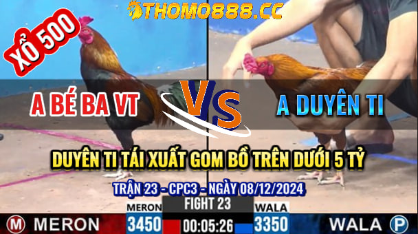 Trận 23 CPC3 Ngày 08/12/2024