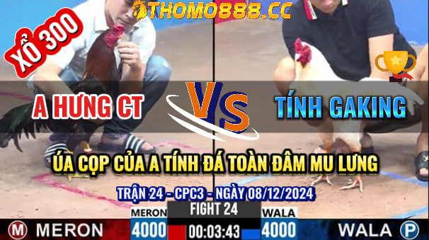 Trận 24 CPC3 Ngày 08/12/2024