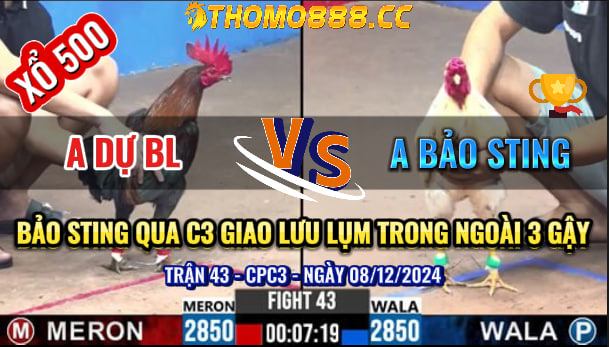 Trận 43 CPC3 Ngày 08/12/2024