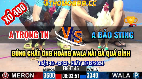 Trận 46 CPC3 Ngày 08/12/2024