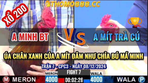 Trận 7 CPC3 Ngày 08/12/2024