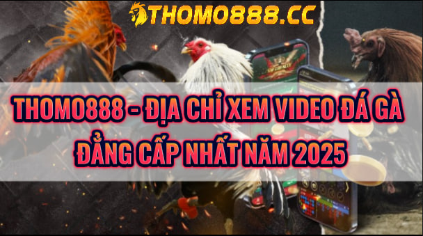 video da ga thomo888