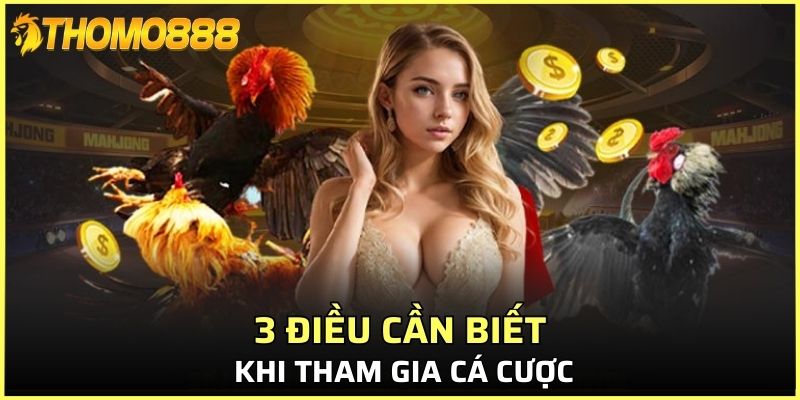 3 điều cần biết khi tham gia cá cược