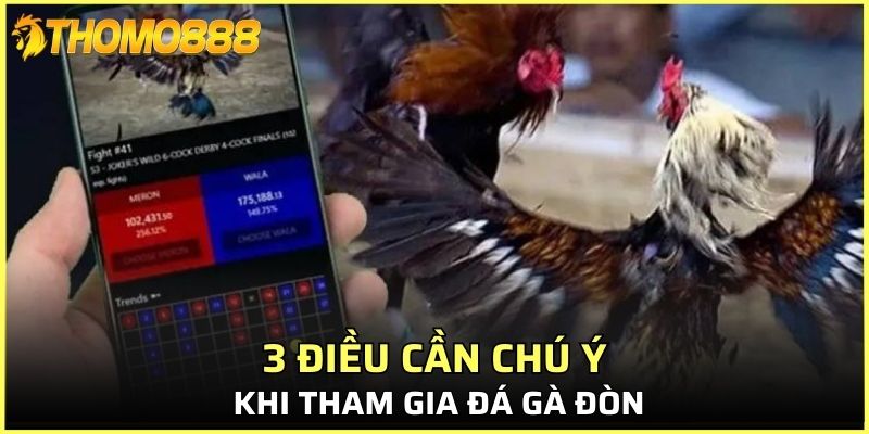 3 điều cần chú ý khi tham gia đá gà đòn