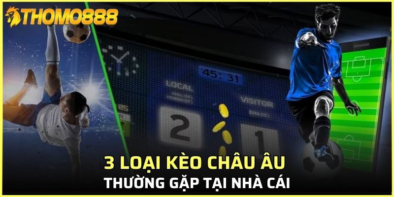 3 loại kèo Châu Âu thường gặp tại nhà cái