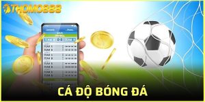 cá độ bóng đá