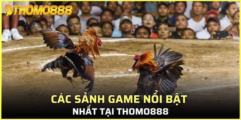 Các sảnh game nổi bật nhất tại Thomo888