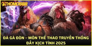 đá gà đòn