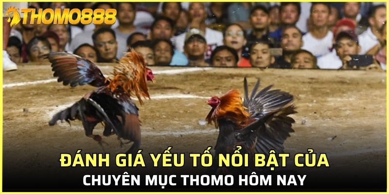 Đánh giá yếu tố nổi bật của chuyên mục Thomo hôm nay