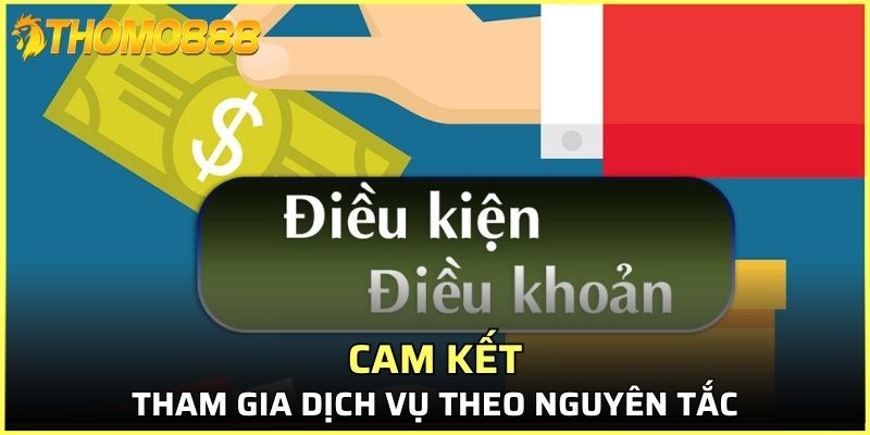 Vai trò của điều khoản điều kiện Thomo888