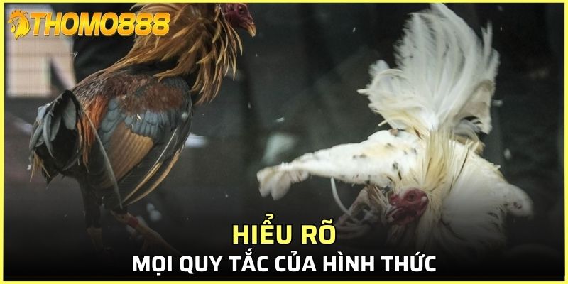 Hiểu mọi quy tắc của hình thức