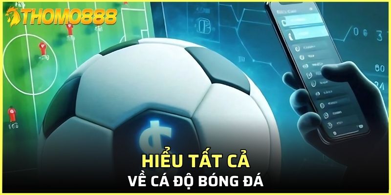 Hiểu tất cả về cá độ bóng đá