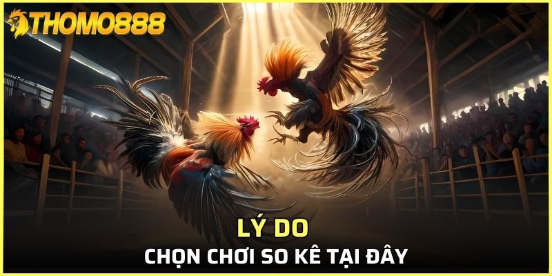 Lý do chọn chơi so kê tại đây