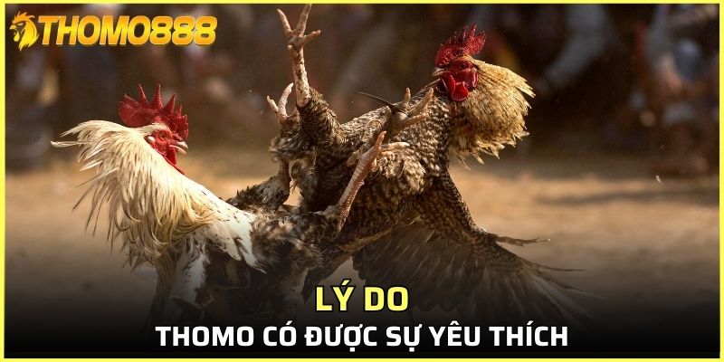 Lý do Thomo có được sự yêu thích
