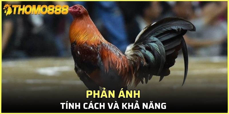 Mỗi màu phản ánh một phần tính cách 