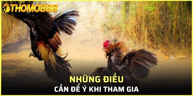 Những điều cần để ý khi tham gia